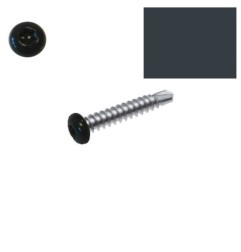 Vis autoperceuses RAL 7016 gris anthracite tête cylindrique Torx par 100