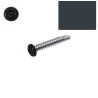 Vis autoperceuses RAL 7016 gris anthracite tête cylindrique Torx par 100