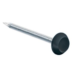 Pointes tête noire RAL 9005 Inox A4 pour rive 50mm par 100