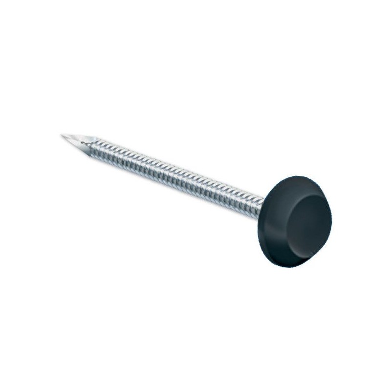 Pointes tête noire RAL 9005 Inox A4 pour rive 50mm par 100