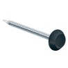 Pointes tête noire RAL 9005 Inox A4 pour rive 50mm par 100