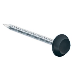 Pointes tête noire RAL 9005 Inox A4 pour rive 50mm par 100