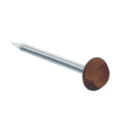 Pointes tête brun chocolat RAL 8017 Inox A4 pour rive 50mm par 100