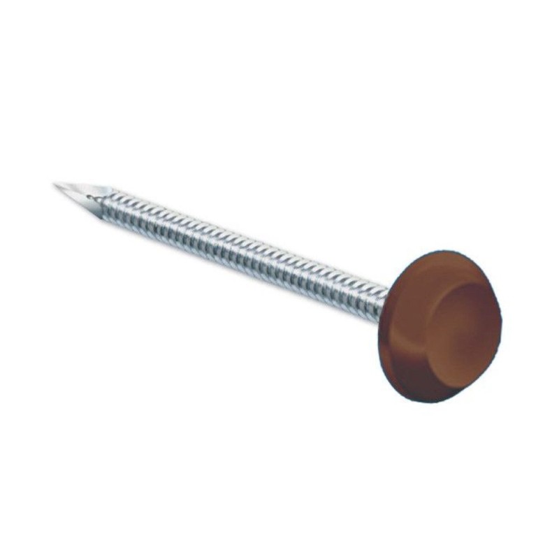 Pointes tête brun chocolat RAL 8017 Inox A4 pour rive 50mm par 100