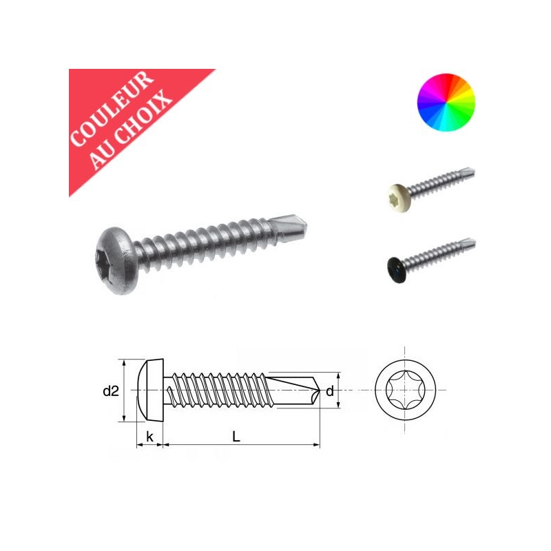 Vis autoperceuses 3,5x9,5 mm couleur au choix tête cylindrique Torx par 2000