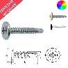 Vis autoperceuses 4,2x13 mm couleur au choix tête rondelle Ph par 1000