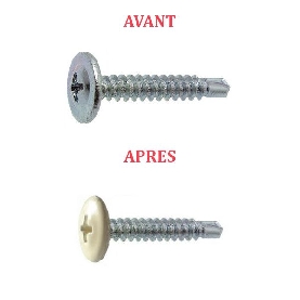 Vis autoperceuses 4,2x13 mm couleur au choix tête rondelle Ph par 1000