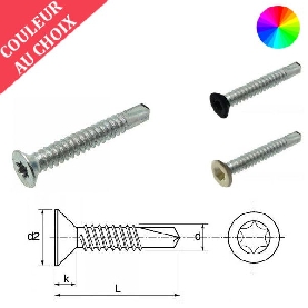 Vis autoperceuses 3,5x9,5 mm couleur au choix tête fraisée Torx par 2000