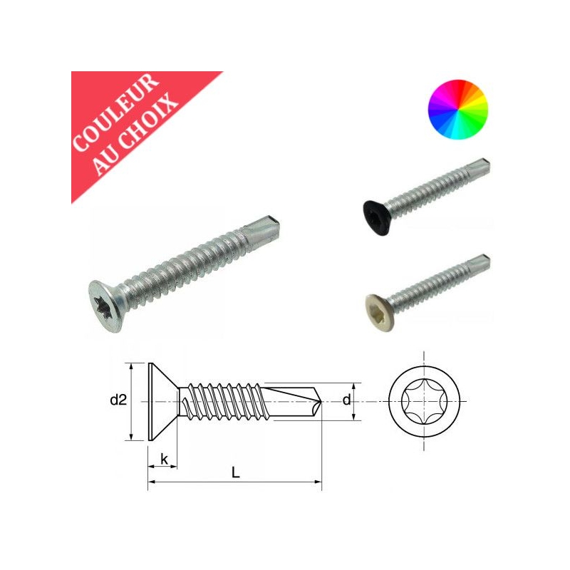 Vis autoperceuses 3,9x19 mm couleur au choix tête fraisée Torx par 2000