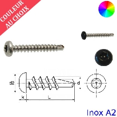 Vis autoperceuses 3,5x9,5 mm couleur au choix tête cylindrique Torx Inox A2 par 1000