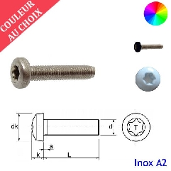 Vis à métaux M4x12 mm couleur au choix tête cylindrique Torx Inox A2 par 1000