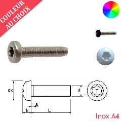 Vis à métaux M4x12 mm couleur au choix tête cylindrique Torx Inox A4 par 1000