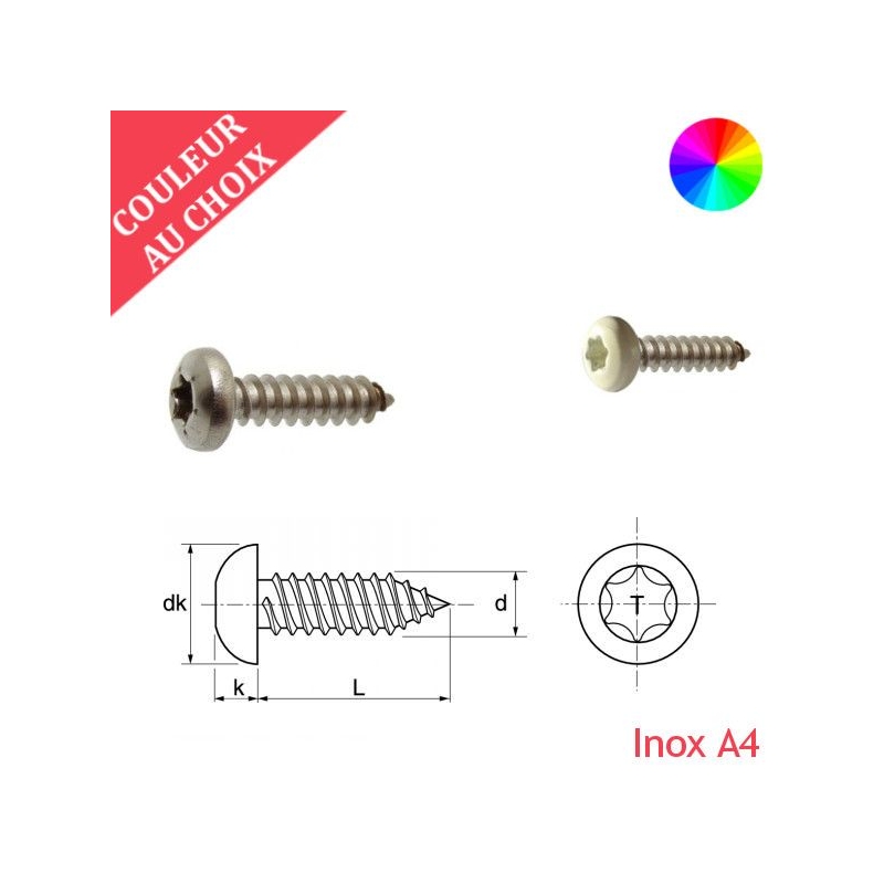 Vis à tôle 3,5x19 mm couleur au choix tête cylindrique Torx Inox A4 par 1000