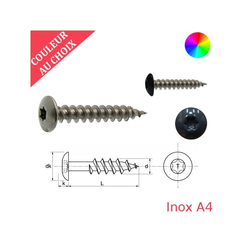 Vis penture 6x20 mm couleur au choix Inox A4 par 100