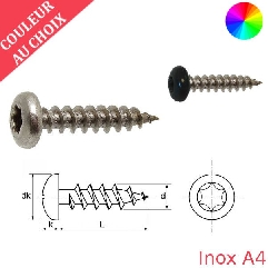 Vis bois 4x20 mm couleur au choix tête cylindrique Torx Inox A4 par 600