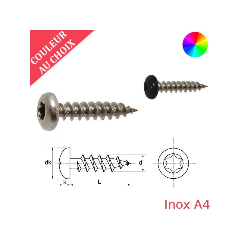 Vis bois 4x20 mm couleur au choix tête cylindrique Torx Inox A4 par 600