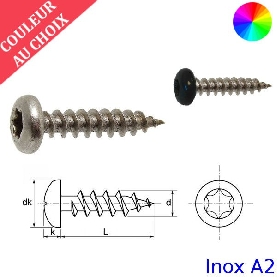 Vis bois 3,5x30 mm couleur au choix tête cylindrique Torx Inox A2 par 1000