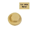 Capuchons RAL 1001 Beige pour vis tête hexagonale de 8 mm