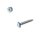 Vis autoperceuses RAL 9016 blanc signalisation tête cylindrique Torx par 100