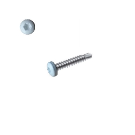 Vis autoperceuses RAL 9016 blanc signalisation tête cylindrique Torx par 100