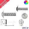 Vis à métaux M6x40 couleur au choix tête bombée à embase six pans creux Inox A2 par 400