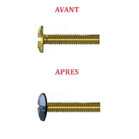 Vis à métaux M6x30 décoratives tête martelée couleur au choix par 300