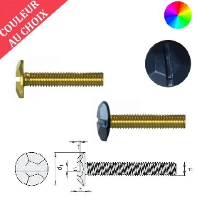 Vis à métaux M6x50 décoratives tête martelée couleur au choix par 300