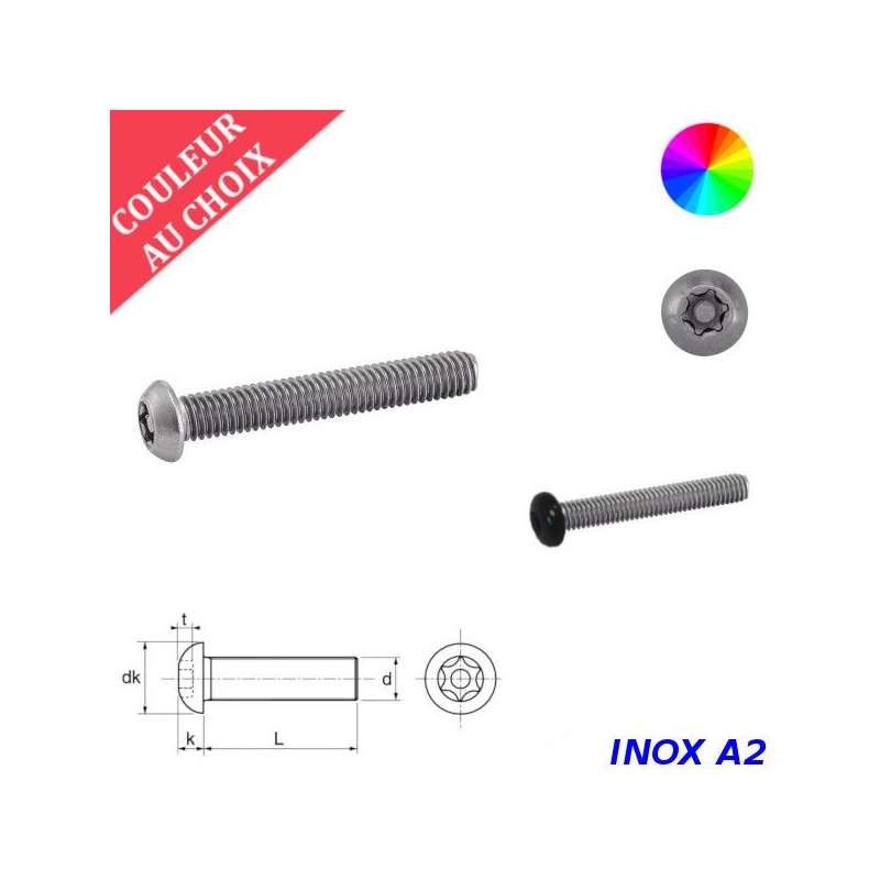 Vis à métaux de sécurité M4x12 couleur au choix tête cylindrique Torx à téton central Inox A2 par 300