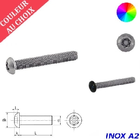 Vis à métaux de sécurité M4x12 couleur au choix tête cylindrique Torx à téton central Inox A2 par 300