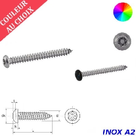 Vis tôle de sécurité 3,5x16 mm couleur au choix tête cylindrique Torx à téton central Inox A2 par 300