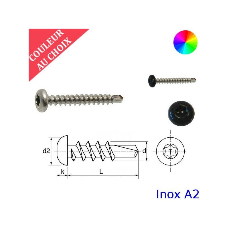 Vis autoperceuses 5,5x19 mm couleur au choix tête cylindrique Torx Inox A2 par 200