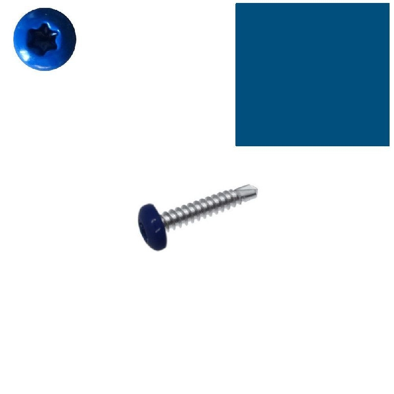 Vis autoperceuses 4,2x16 mm RAL 5010 blue gentiane tête cylindrique Torx par 100