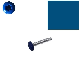 Vis autoperceuses 4,2x16 mm RAL 5010 blue gentiane tête cylindrique Torx par 100