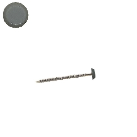 Pointes tête RAL 7035 gris clair Inox A4 pour rive 2,5x50 mm par 100