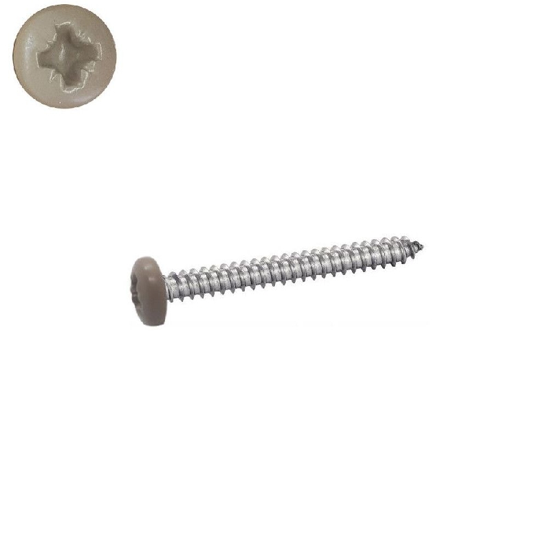 Vis à tôle 5,5x16 mm RAL 1019 beige gris Inox A2 tête cylindrique Pozidrive par 100