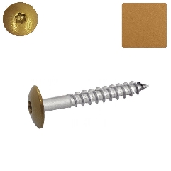 Vis pour panneaux de façade 4,8x38 mm couleur or Gold Splendour Y2205I Inox A2 par 100