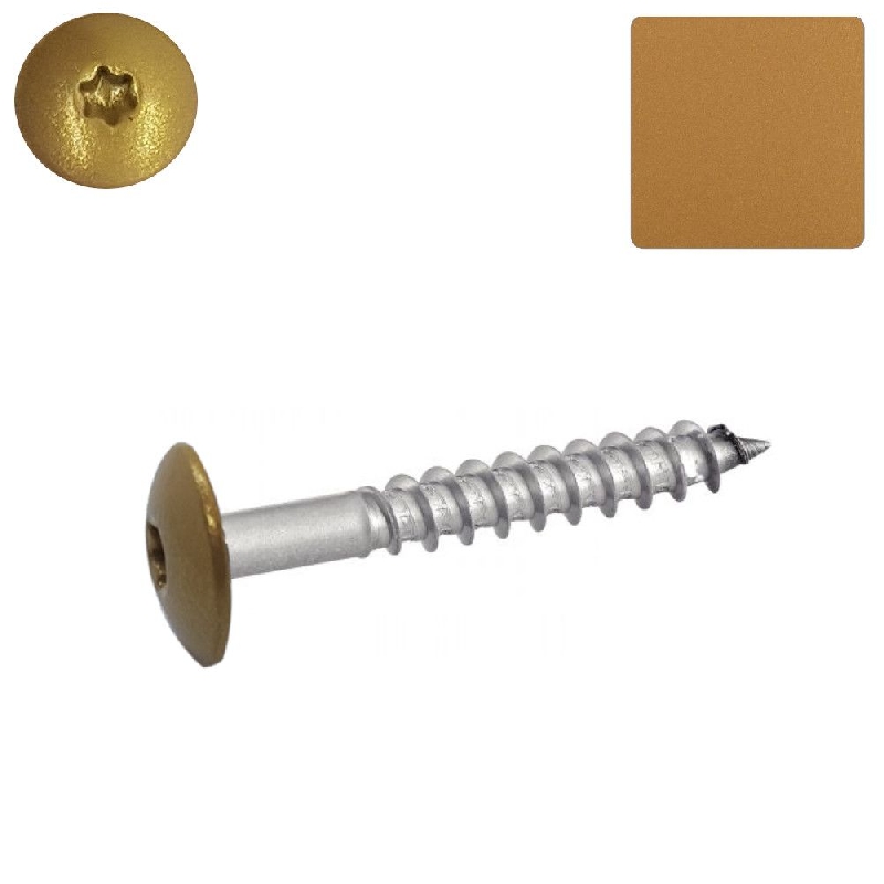 Vis pour panneaux de façade 4,8x38 mm couleur or Gold Splendour Y2205I Inox A2 par 100