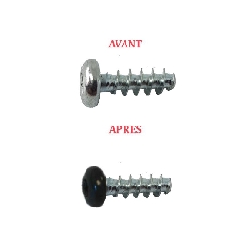 Vis pour thermoplastiques 4x12 mm couleur au choix tête cylindrique Tx par 500