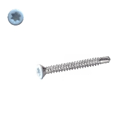 Vis autoperceuses 4,2x16 mm RAL 9010 blanc pur tête fraisée Torx par 100