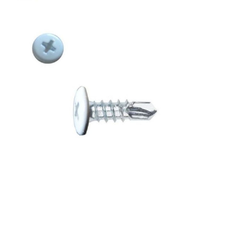 Vis autoperceuse 4,2x25 mm blanc pur RAL 9010 tête type rivet par 100