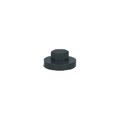 Capuchons tête hexagonal RAL 7016 gris anthracite pour vis TH de 4,8 mm clé de 8 par 200