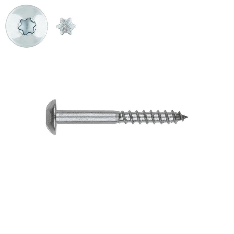 Vis de penture inviolable 7x50 mm tête martelé INOX A2 par 100