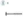 Vis de penture inviolable 7x50 mm tête martelé INOX A2 par 100