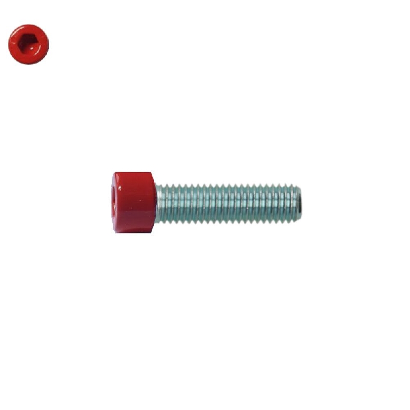 Vis à métaux Rouge M8x30 mm tête cylindrique 6 pans creux acier zingué 8.8 par 50