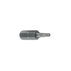 Boîte de 25 embouts T25 25 mm