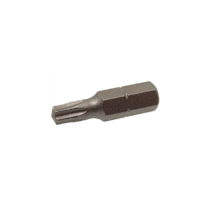 Embout de vissage Tx25 L : 75 mm