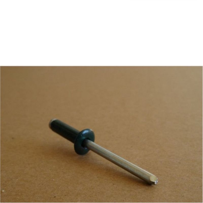 Rivets 4,8x10 mm RAL 6005 Vert Mousse par 100