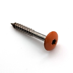 Vis pour panneaux de façade 4,8x38 mm RAL 2010 orange de sécurtié Inox A2 par 100