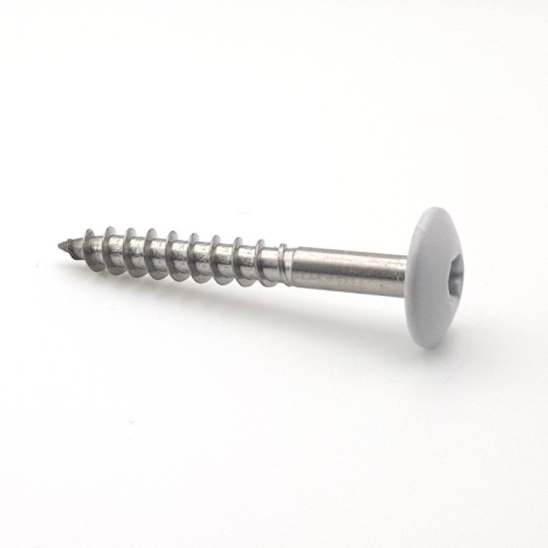 Vis pour panneaux de façade 4,8x38 mm RAL 7035 gris clair Inox A2 par 100