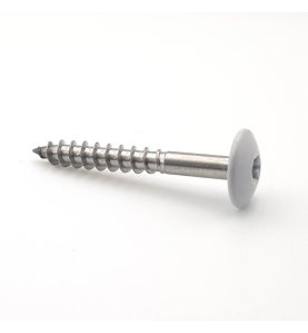 Vis pour panneaux de façade 4,8x38 mm RAL 7035 gris clair Inox A2 par 100